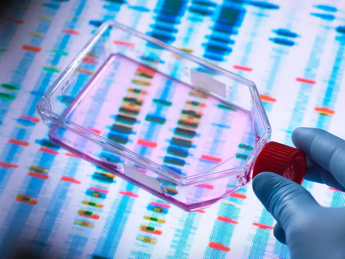 stem cell treatment research