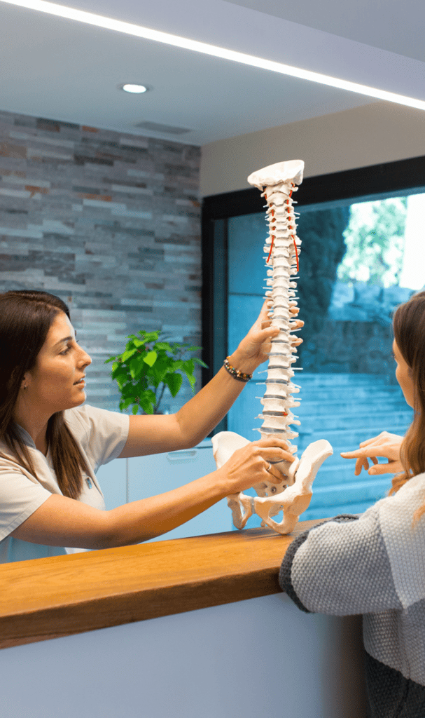doctor examining model spinal cord