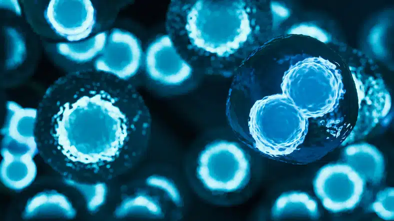 close-up image of stem cells