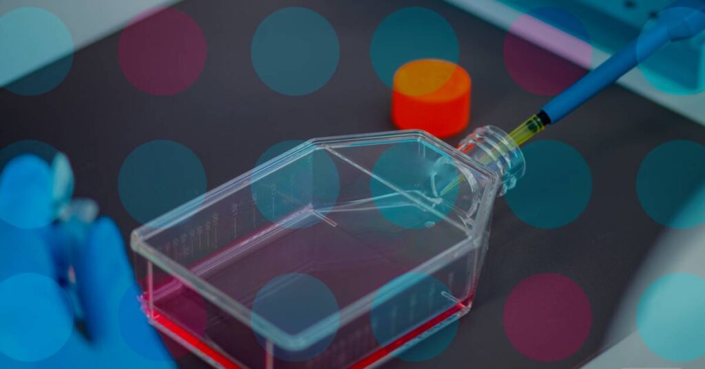 A cell culture flask for stem cell